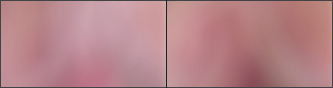 Female Before and After Blurred